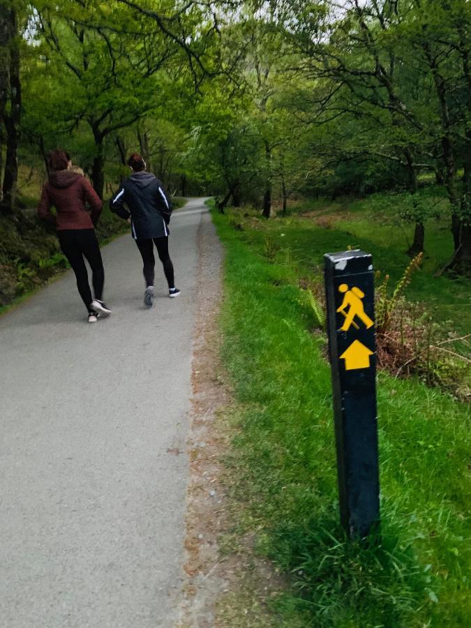 Wicklow Way Lodge Bagian luar foto