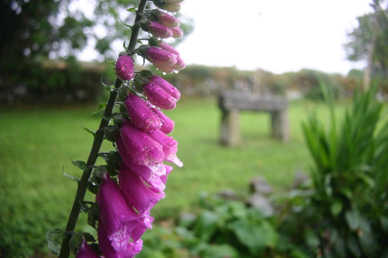 Wicklow Way Lodge Bagian luar foto