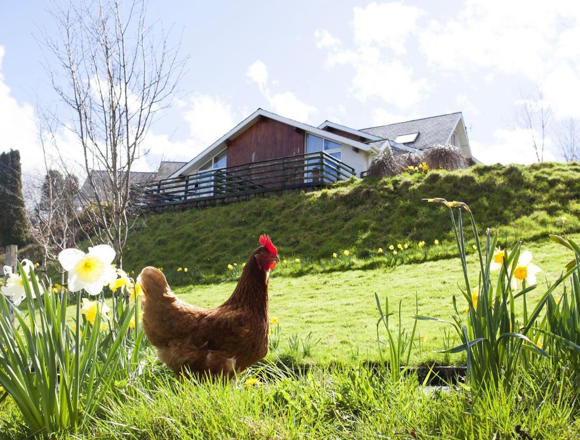 Wicklow Way Lodge Bagian luar foto
